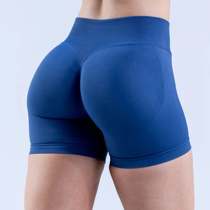 Women's Seamless Fitness Yoga Shorts sports wear