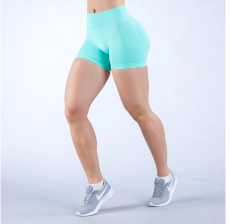 Women's Seamless Fitness Yoga Shorts sports wear