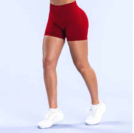 Women's Seamless Fitness Yoga Shorts sports wear