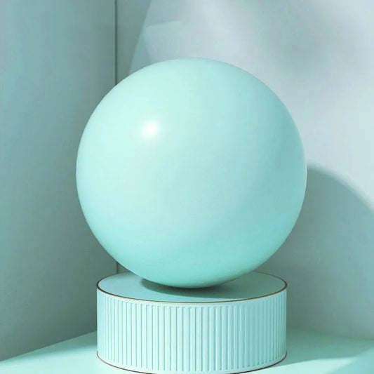Pelvic Floor Training Ball