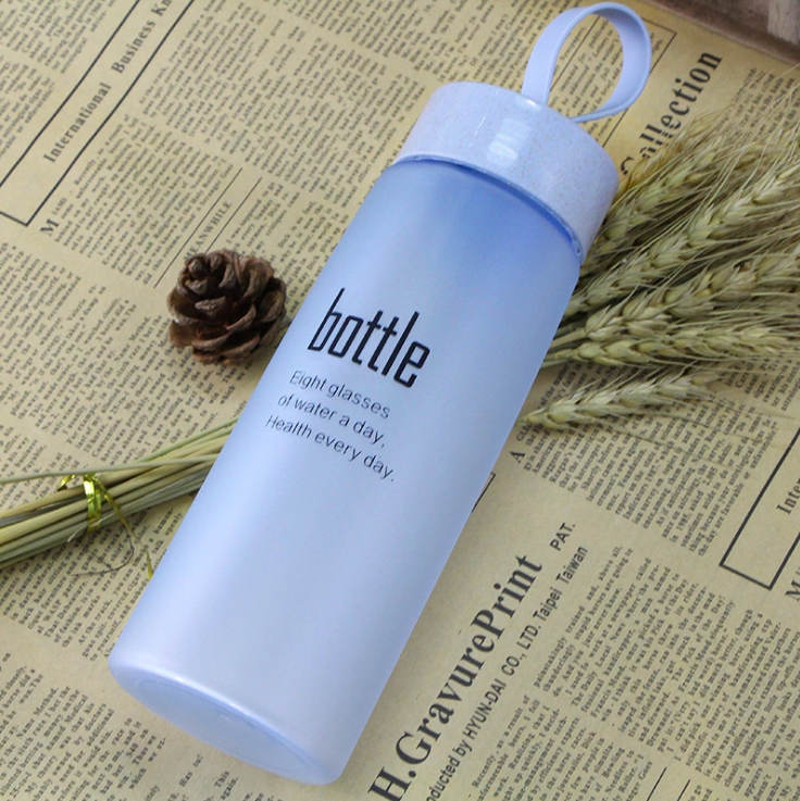 Frosted Sport Water Bottle 520ml